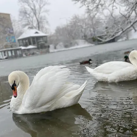 Appartamento Aura Breslavia