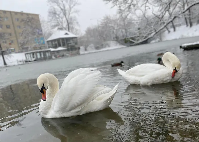 Apartment Aura Wroclaw